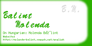 balint molenda business card